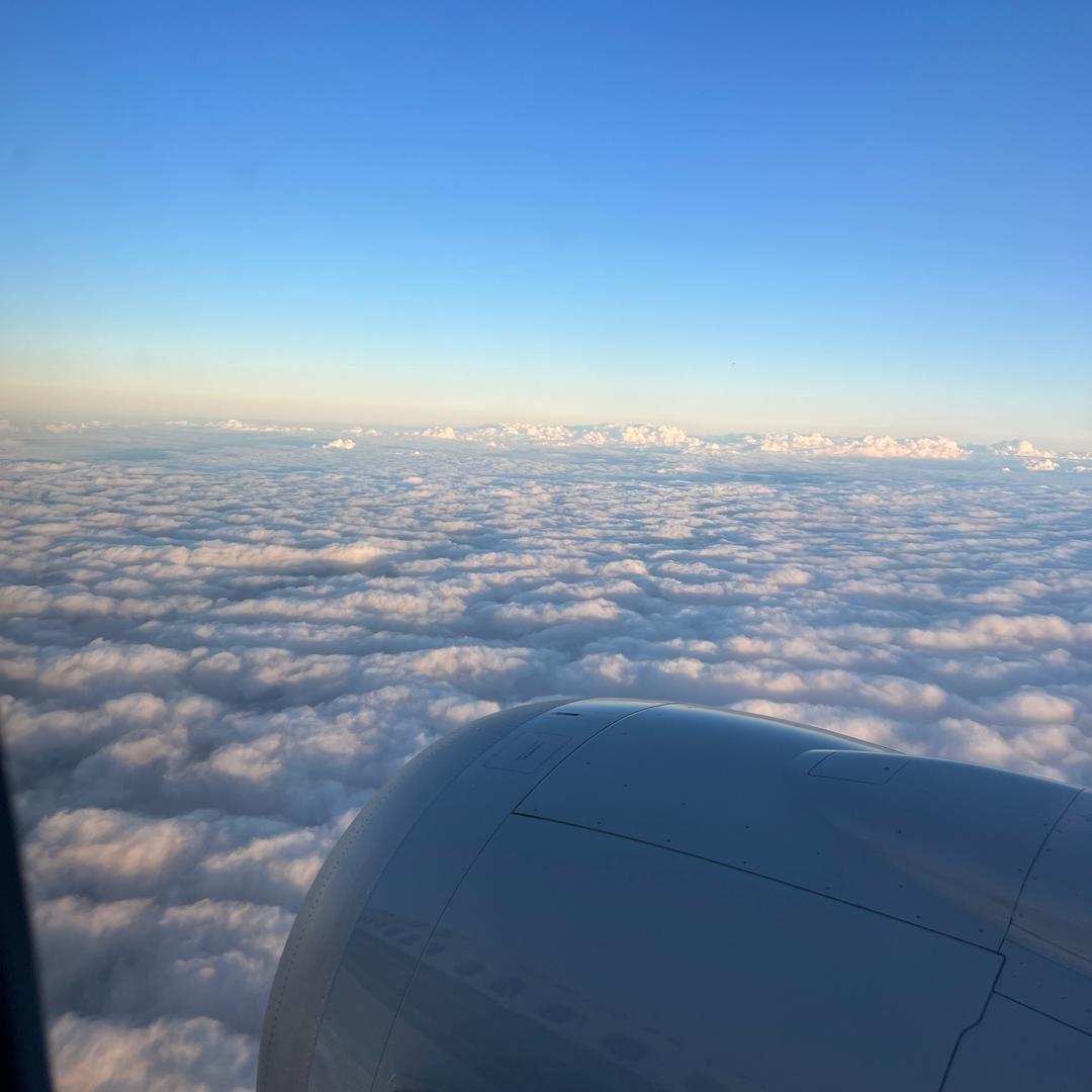 Love is over（星羽💔）