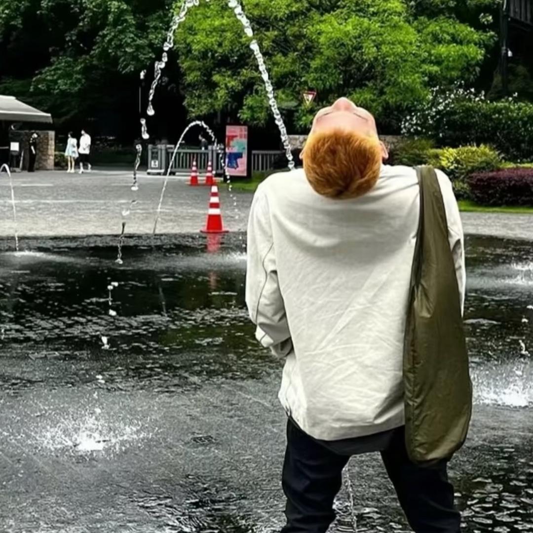 一条纯爱鱼🐟