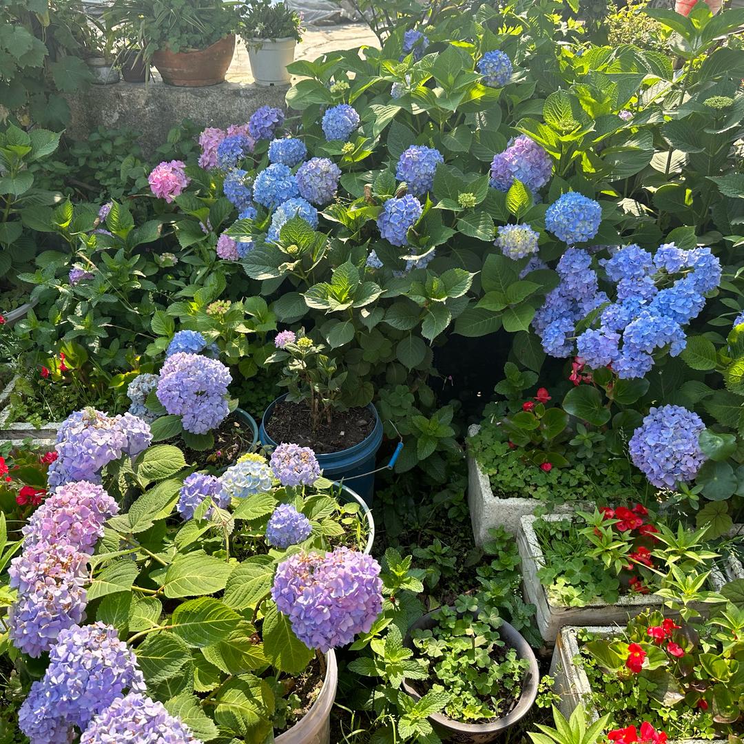 花姐美食