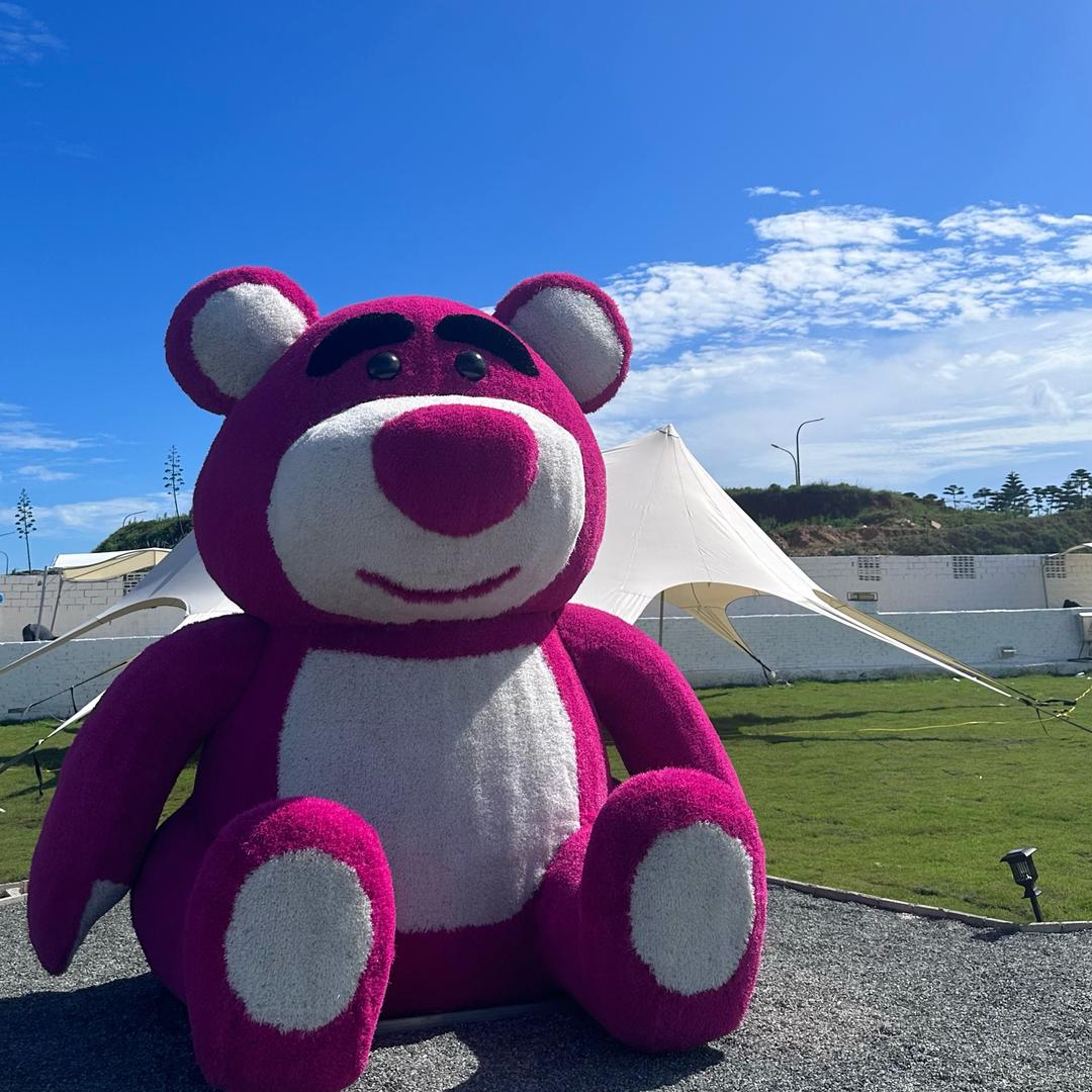 社恐人员在直播