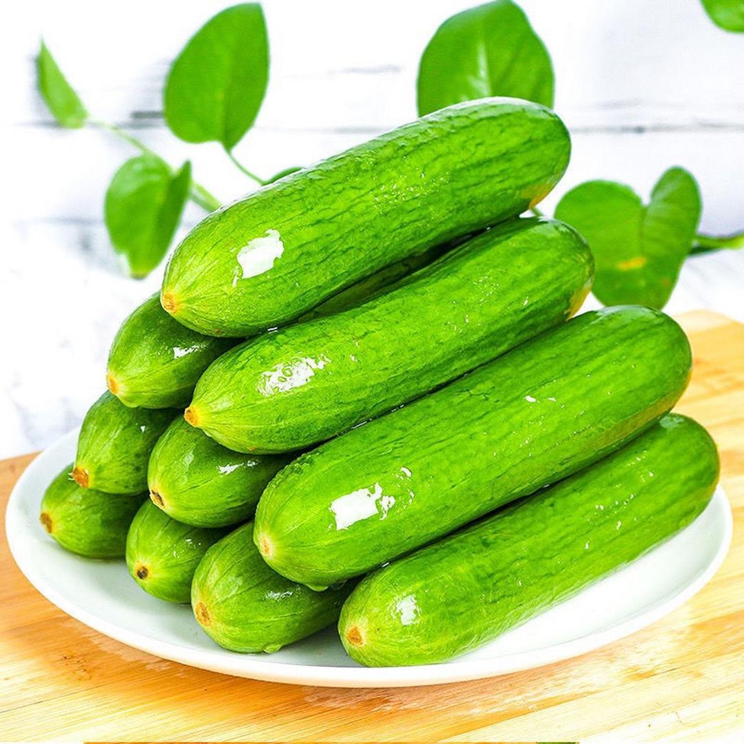 寿光水果黄瓜