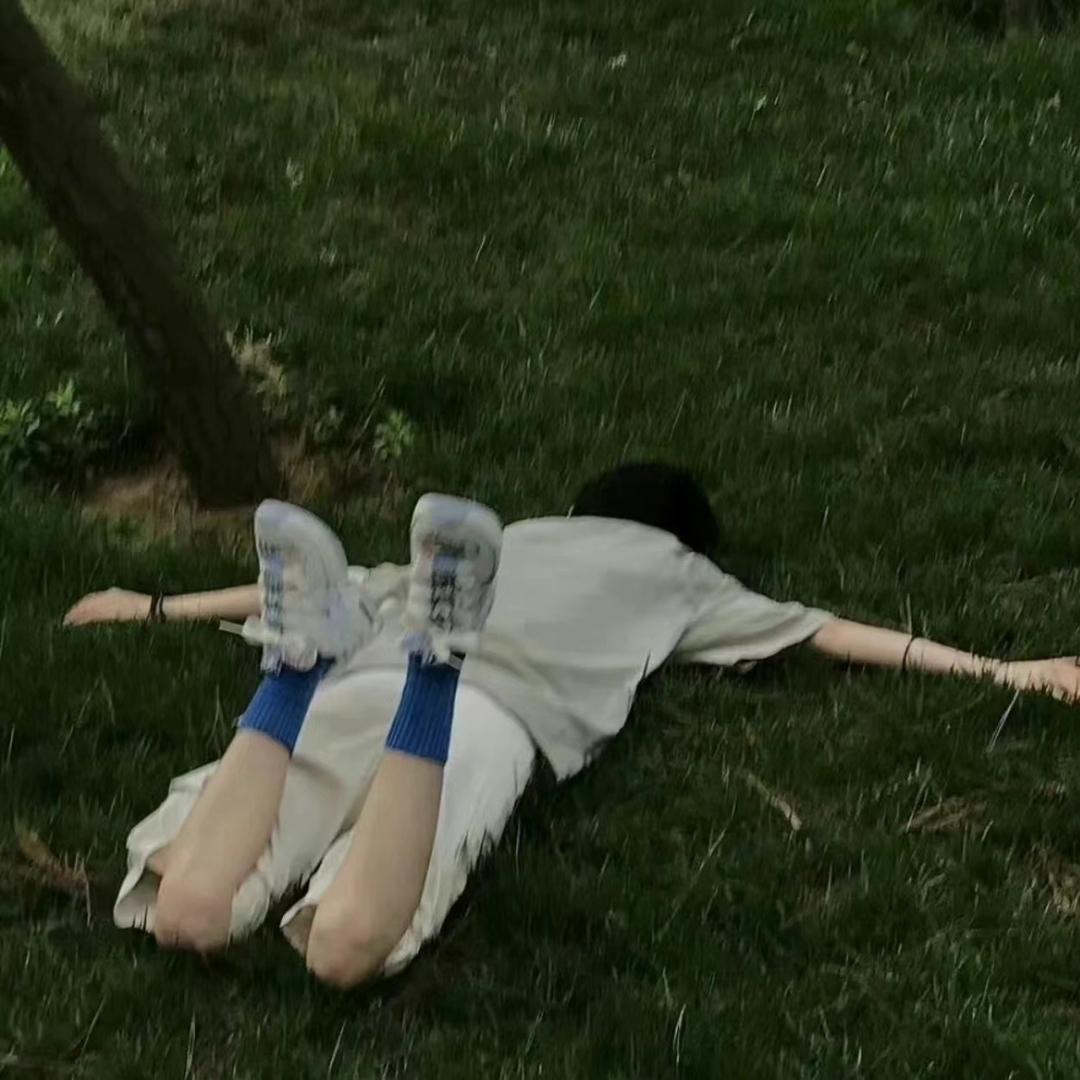 电线杆上的小胖🐦