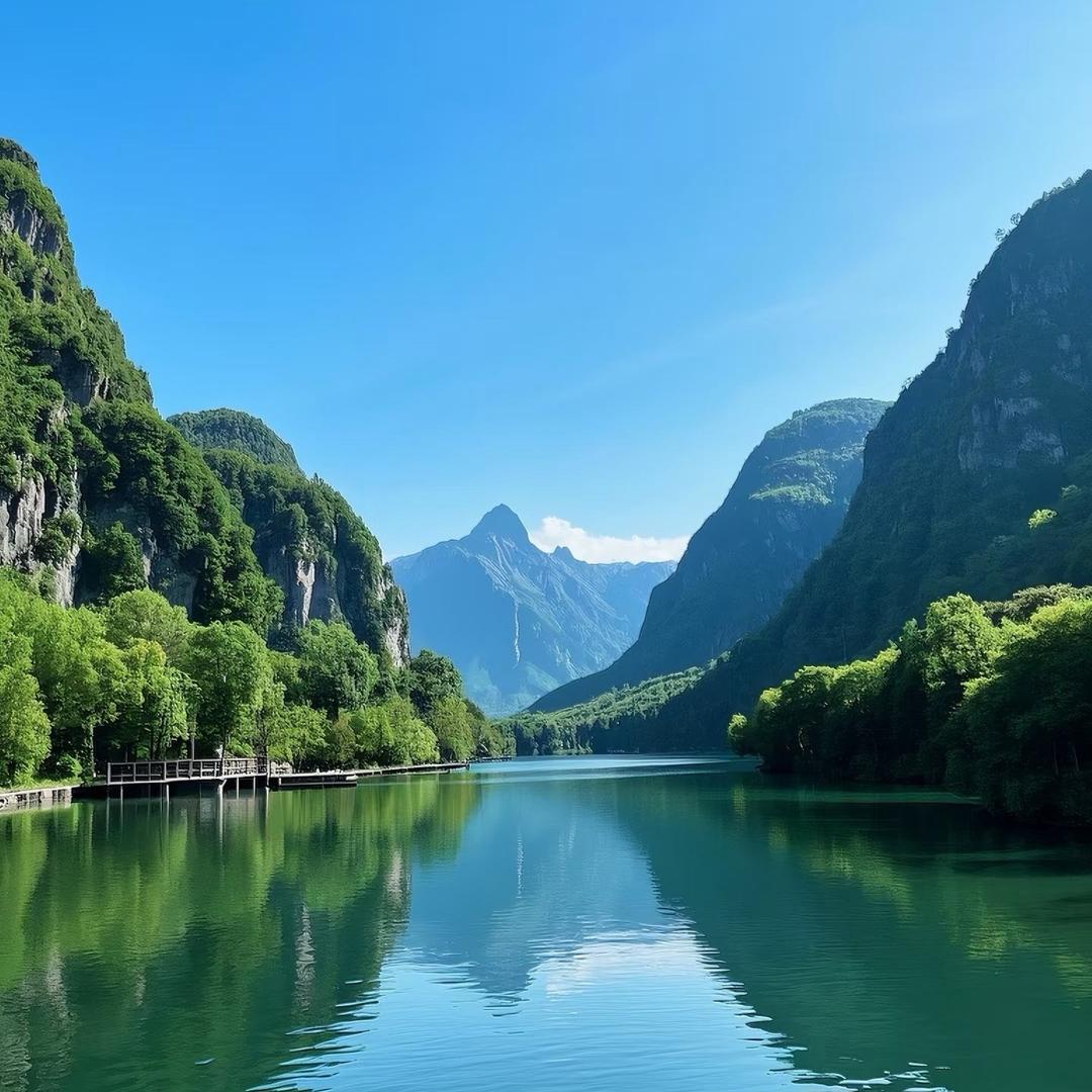 清心阁💖你崔泡泡