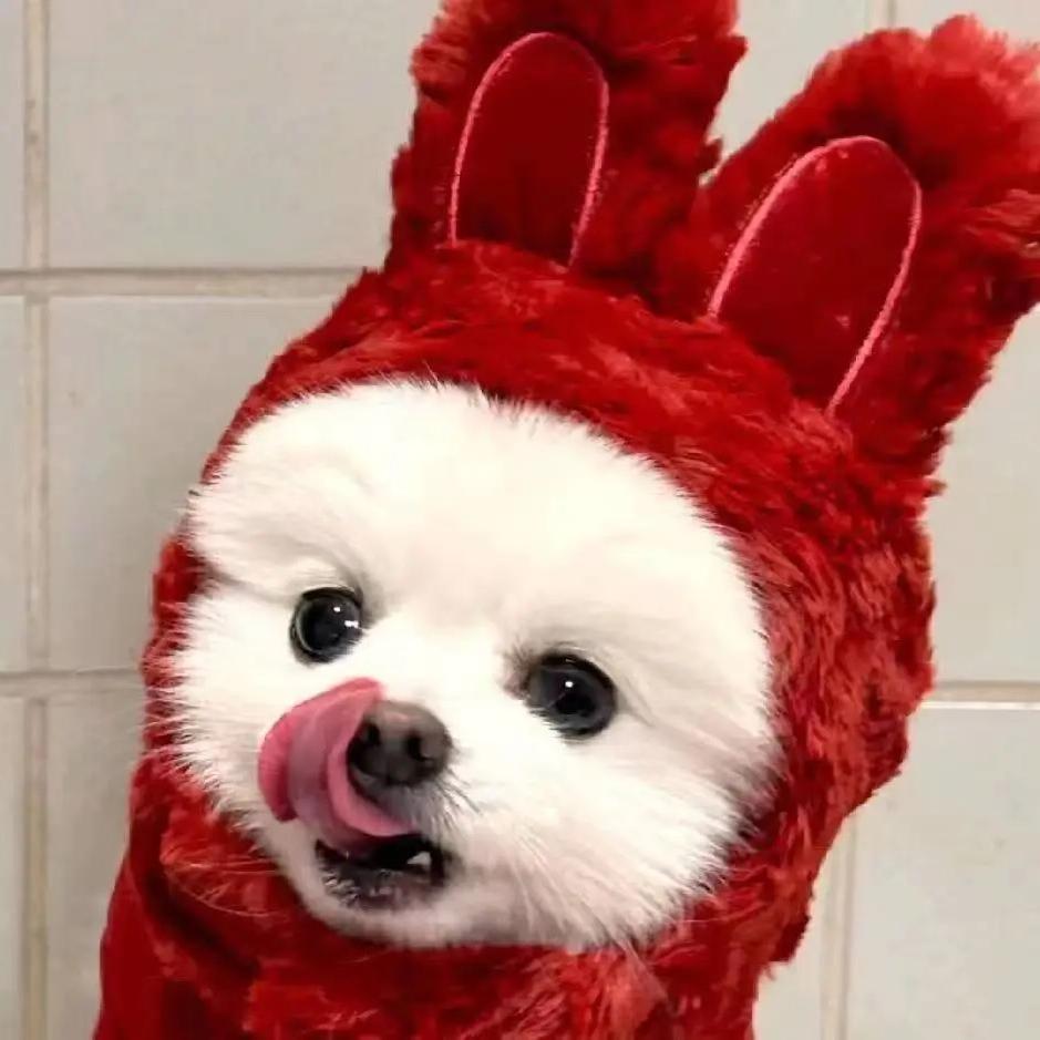 火火犬舍