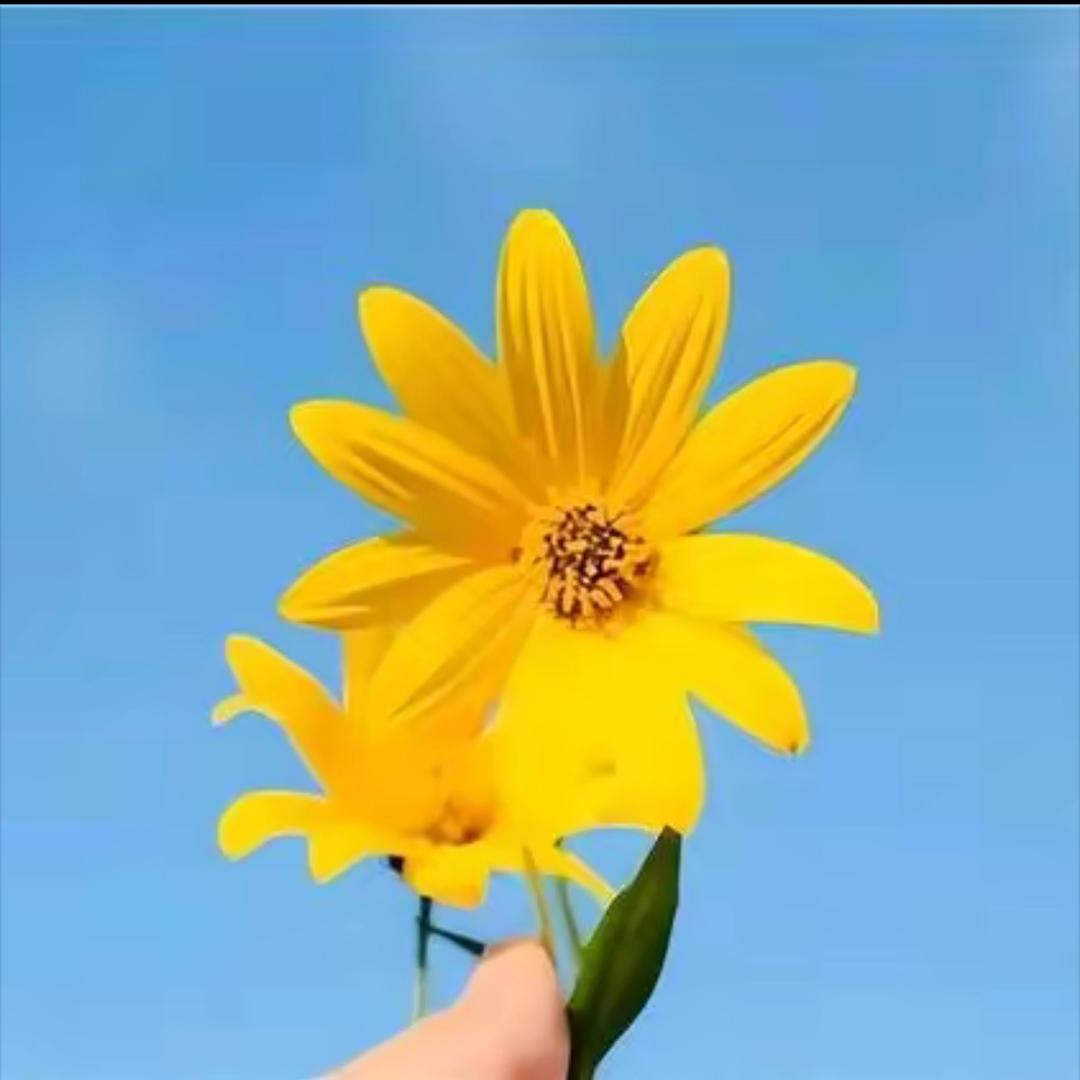 姚老师升学规划（提前批）