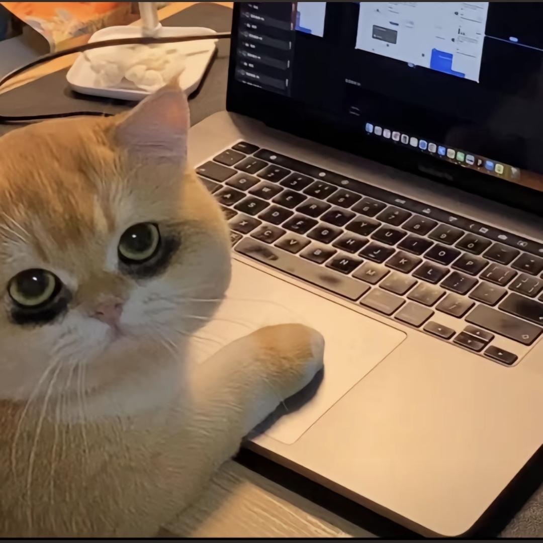 🐾熬夜懒大王🍀🍭🍧🧸