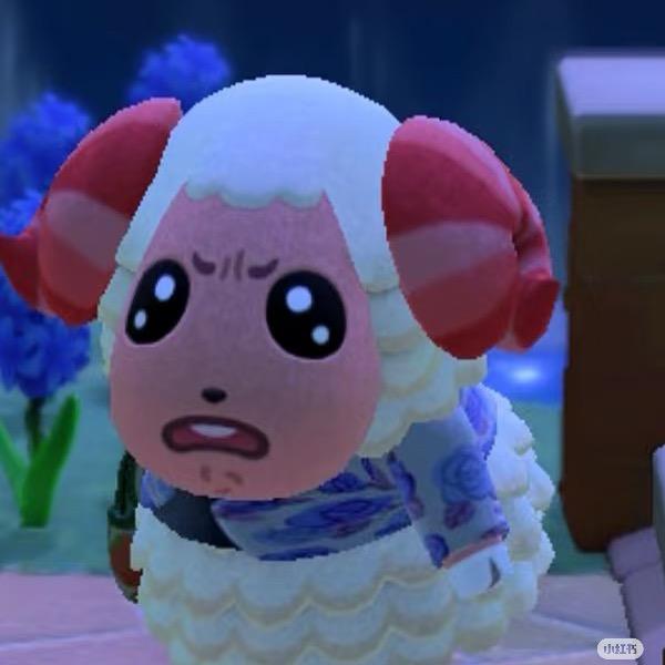 超级游戏玩家Bob