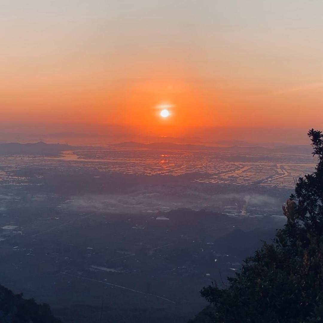 不务正业的小助手