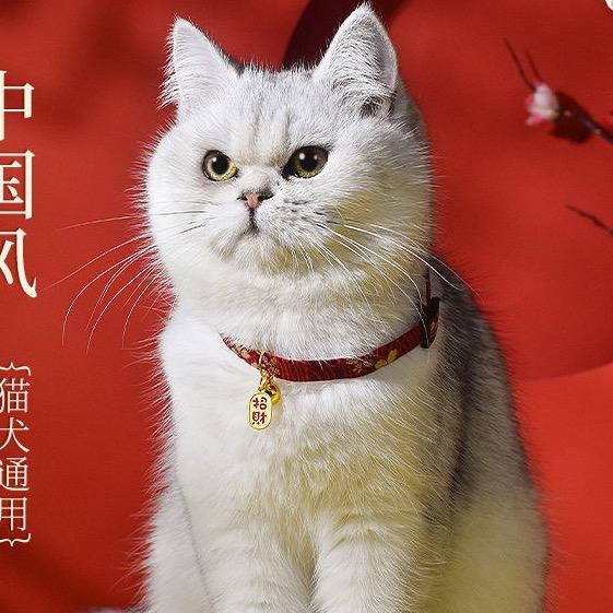 Pp起床了