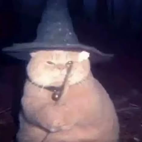 ㅤㅤ 无敌椰椰大王