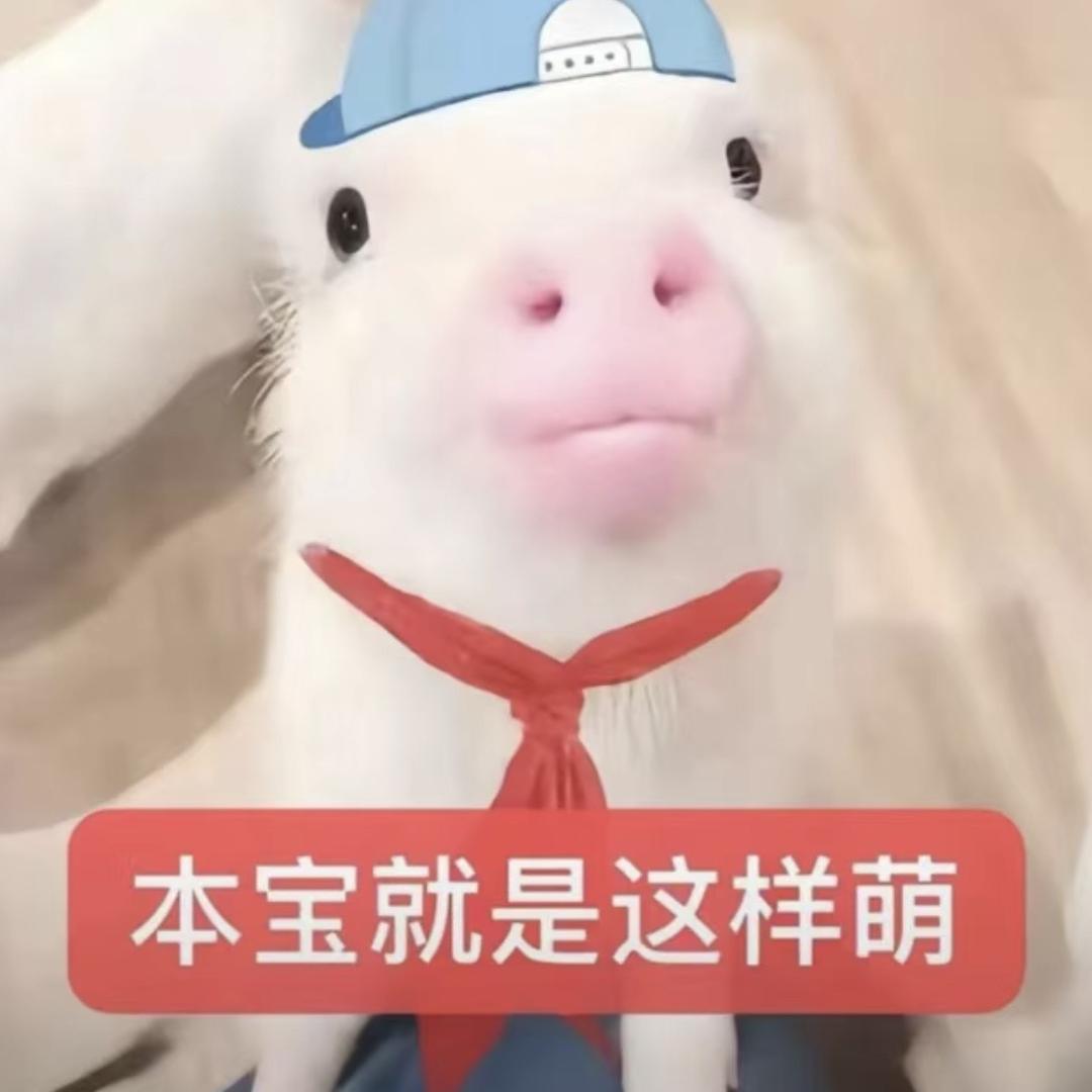 我是猪我是猪