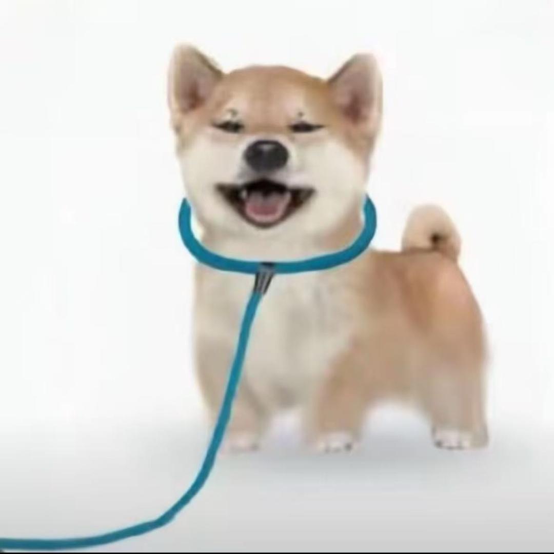 你也很为我着迷吧