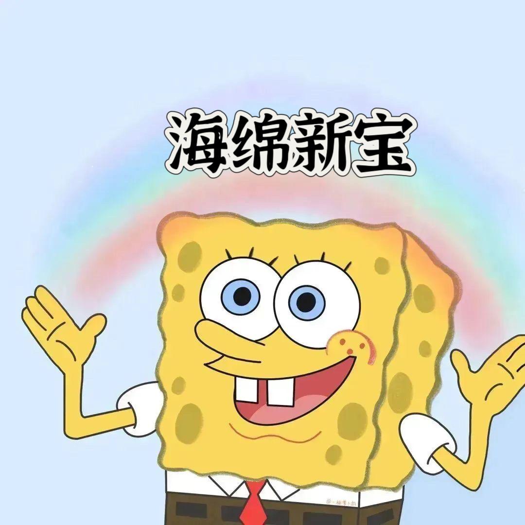 海绵新宝🦊
