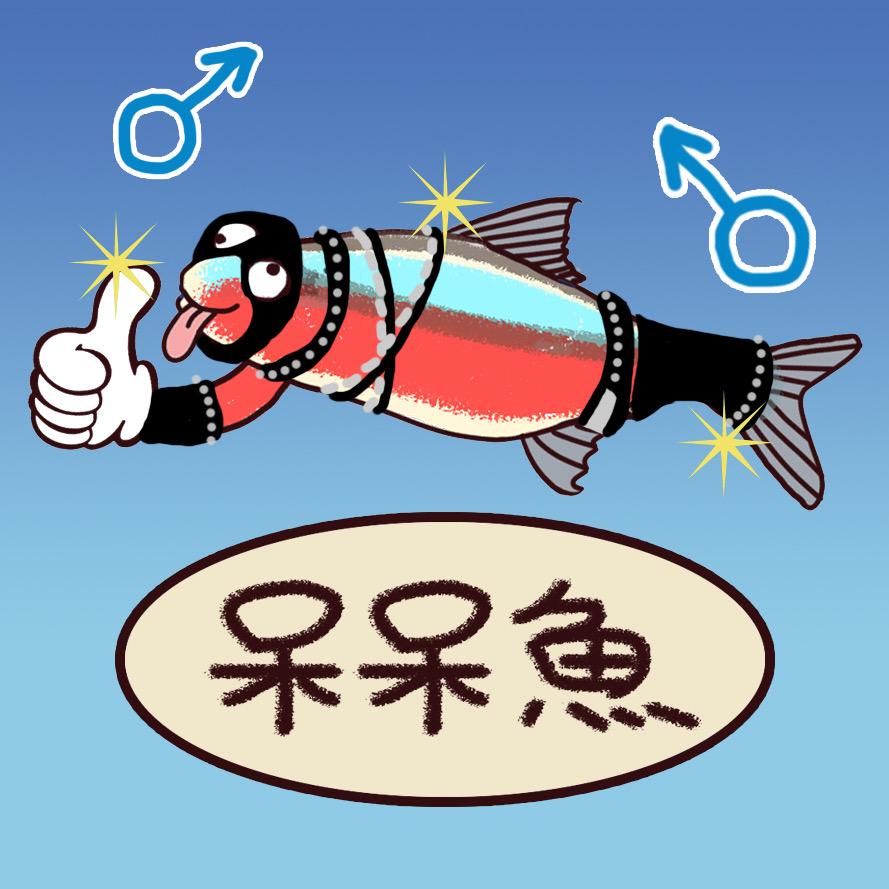 呆呆鱼做个朋友