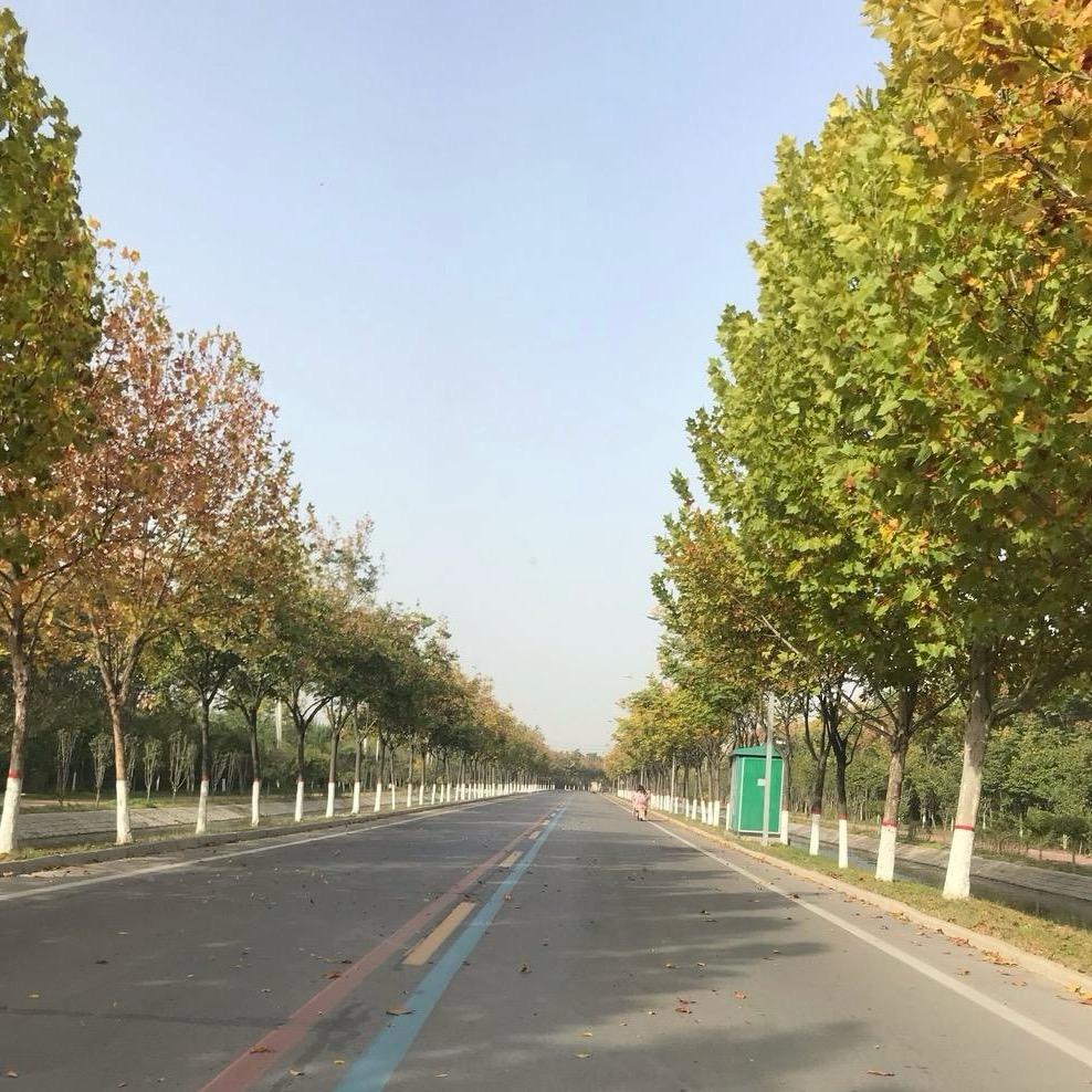 郑州晨风收机