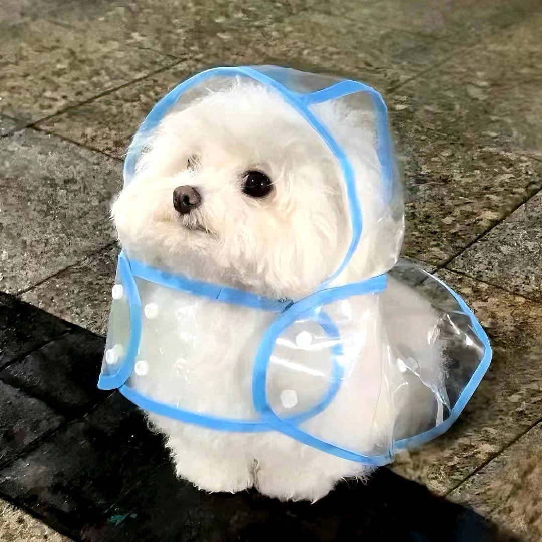 真没丢
