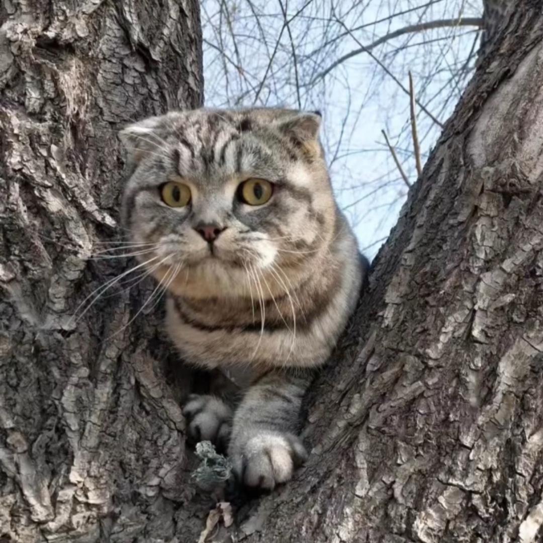 🎻（28 号两周年庆）