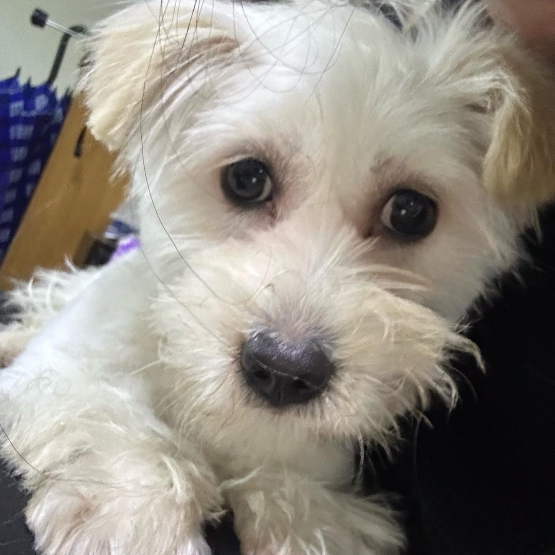 不吃香菜。！！