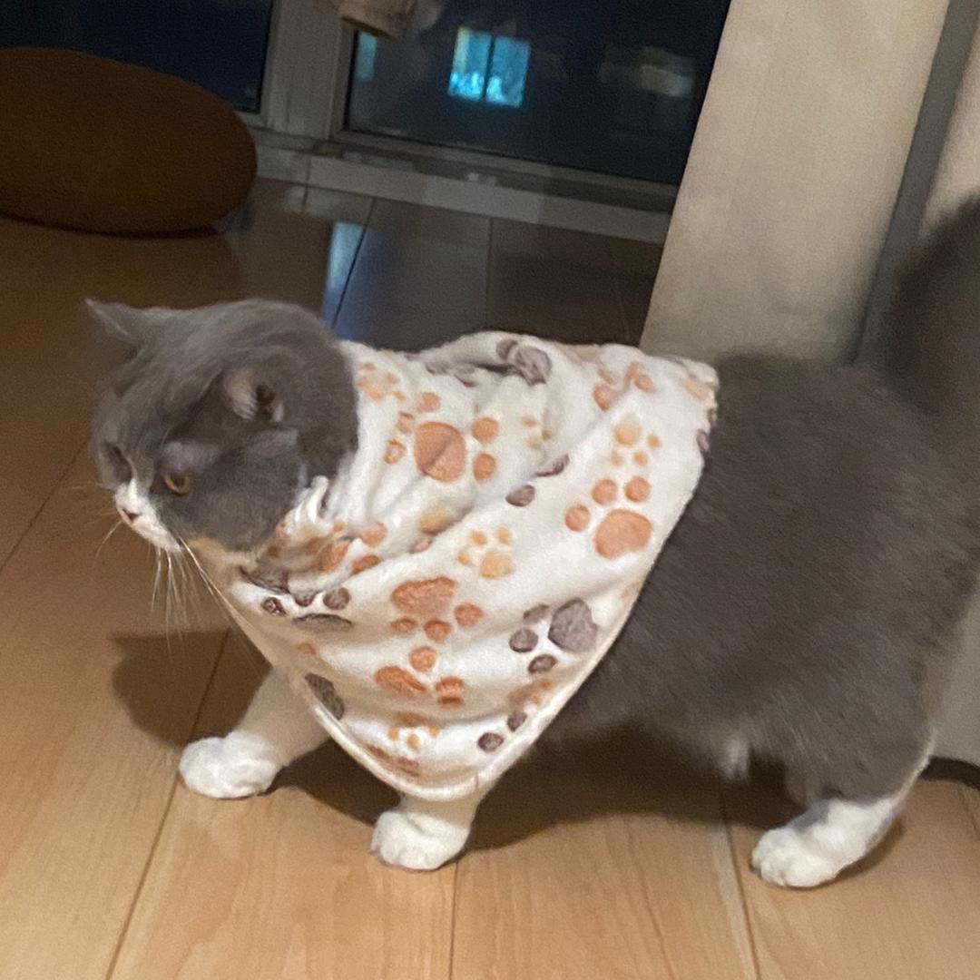 奶茶妮妮一家亲