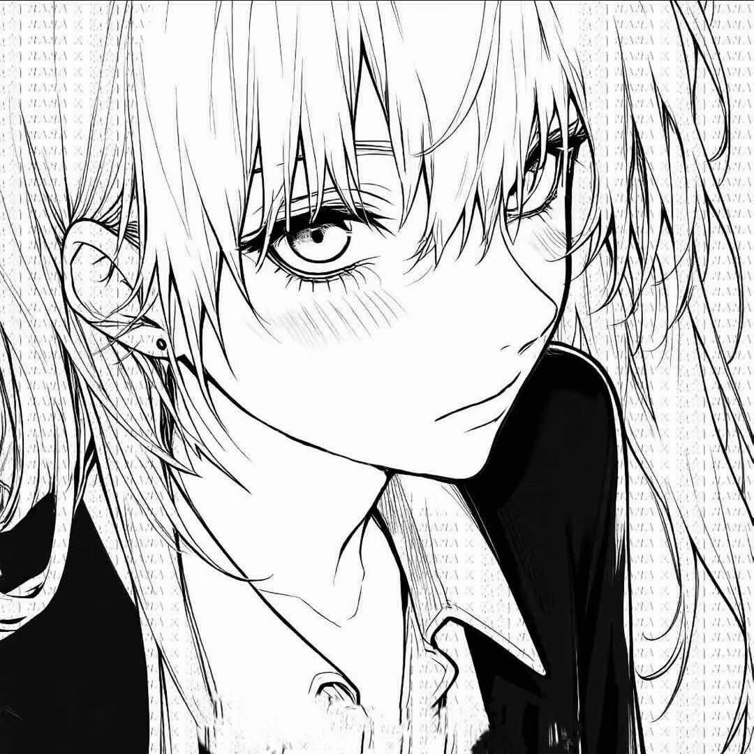 猫猫大王🐈‍⬛