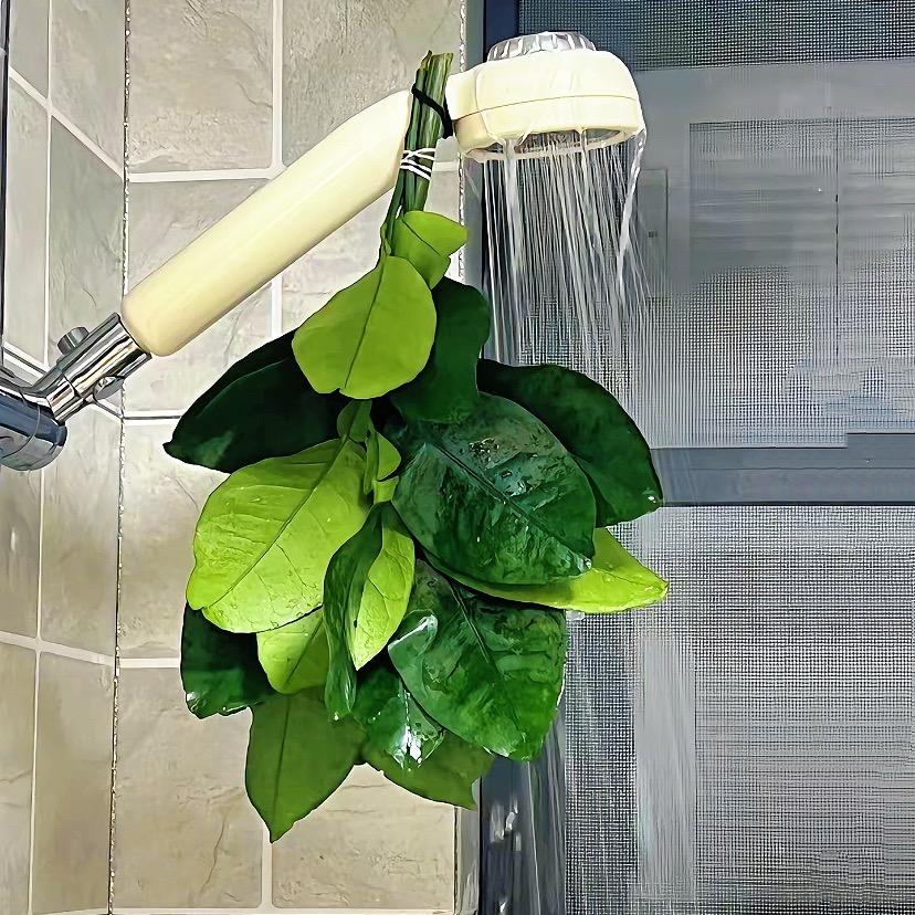 “你”脸好大＂