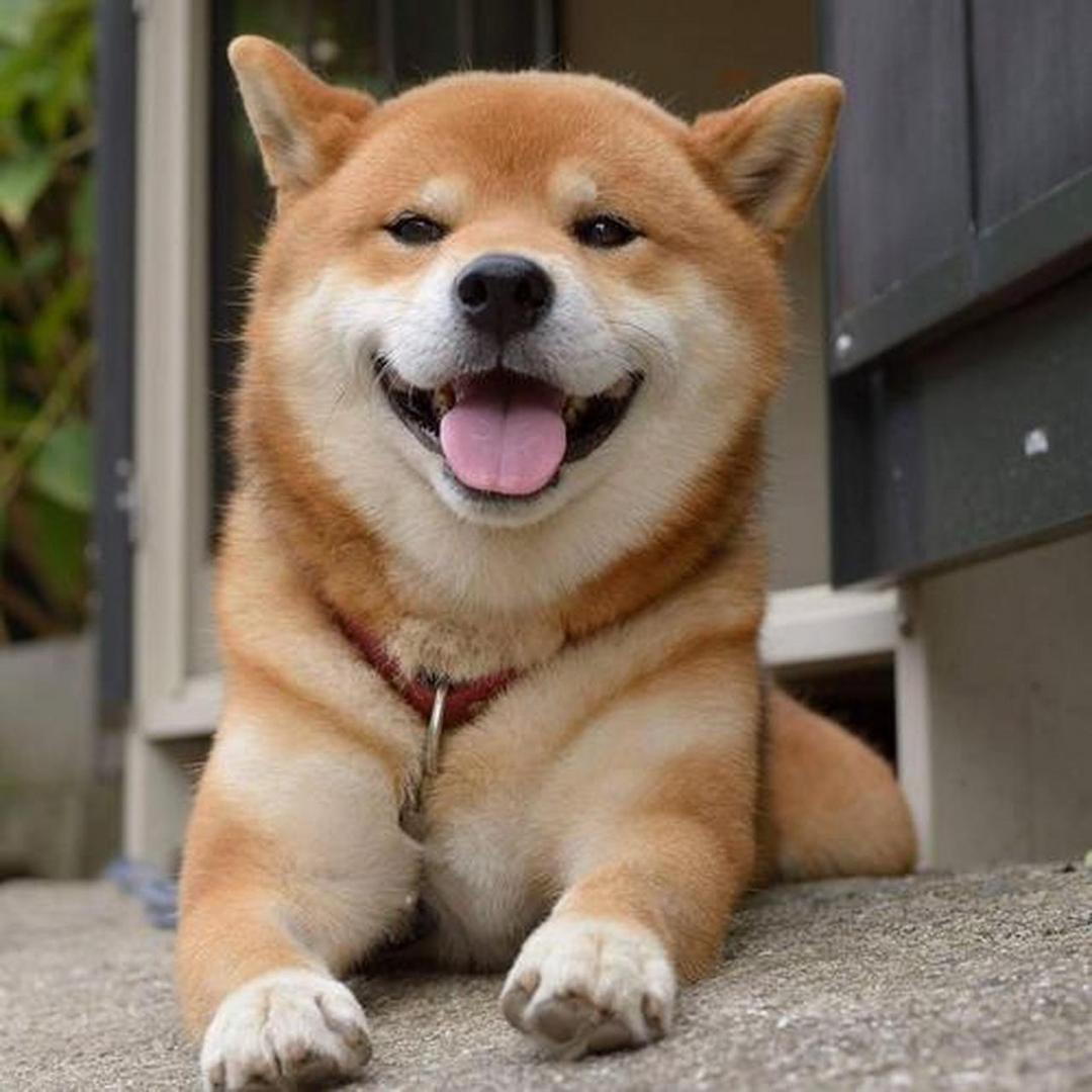 宠珺♥珺珺