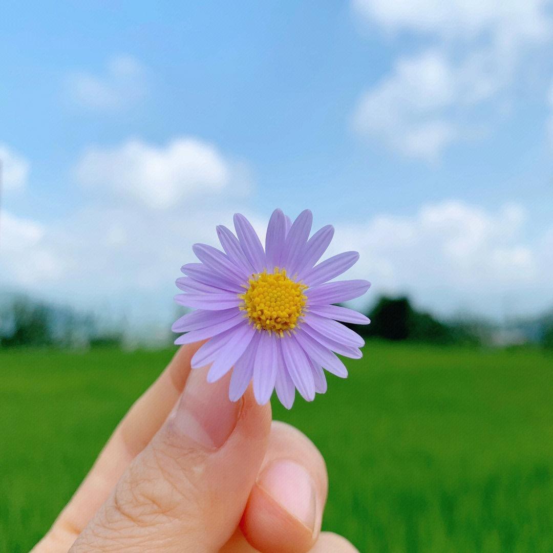 西 西