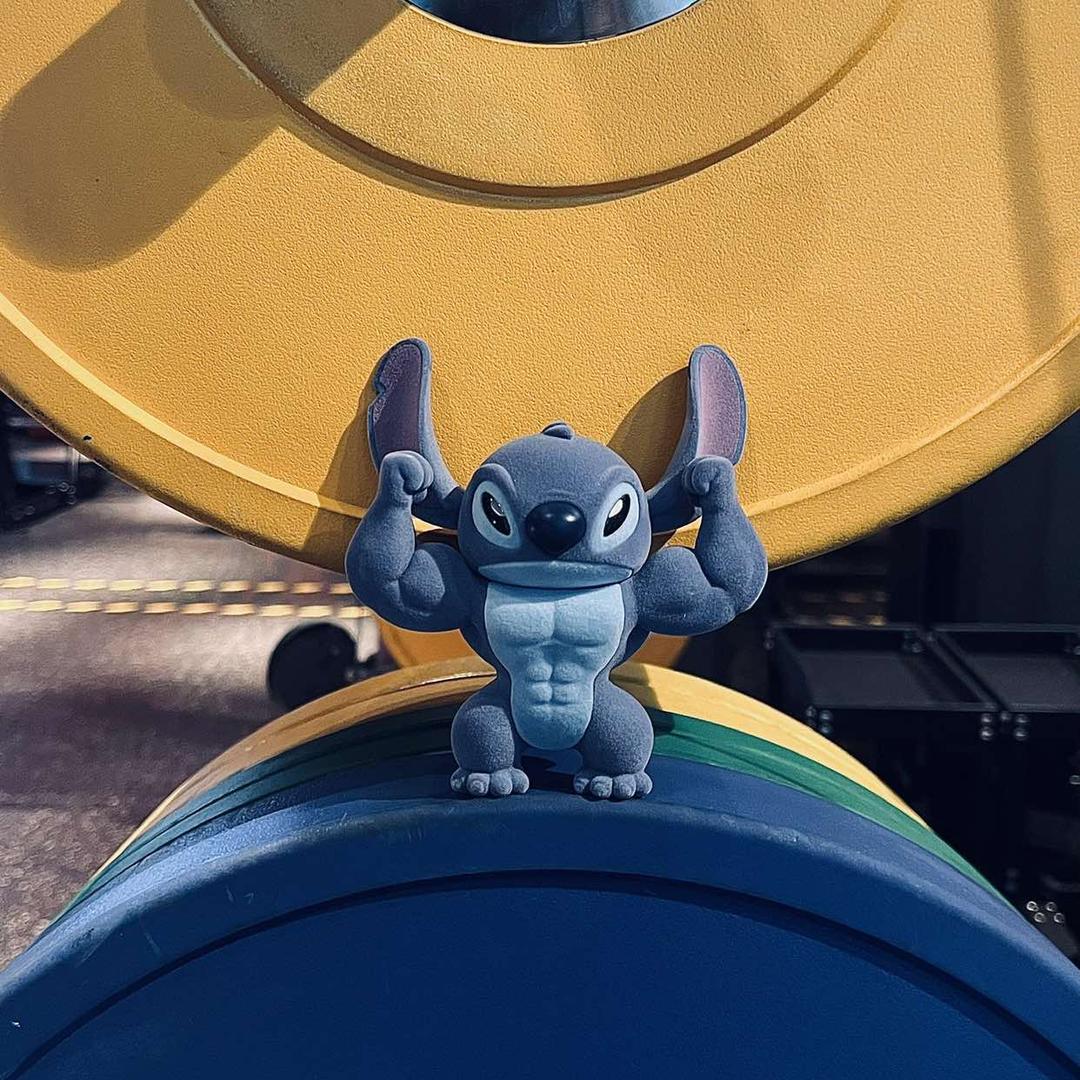 啊豪没有肌肉💪