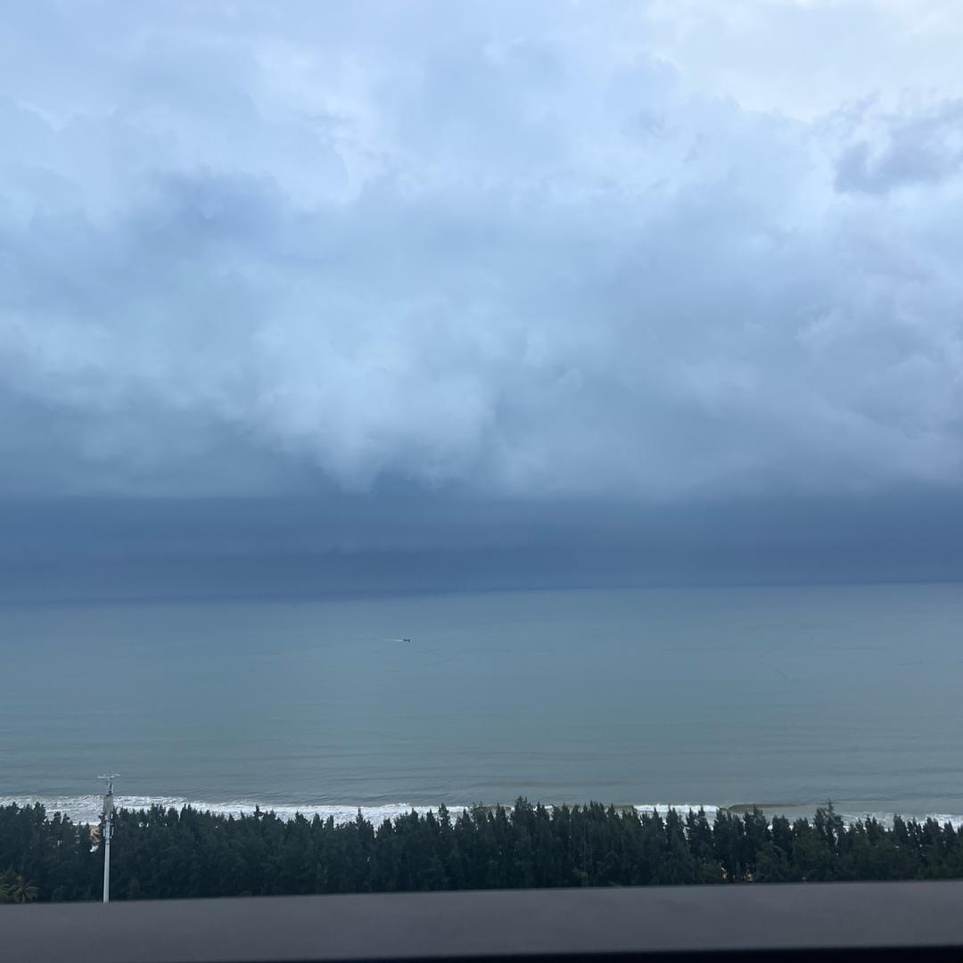 一棵大树