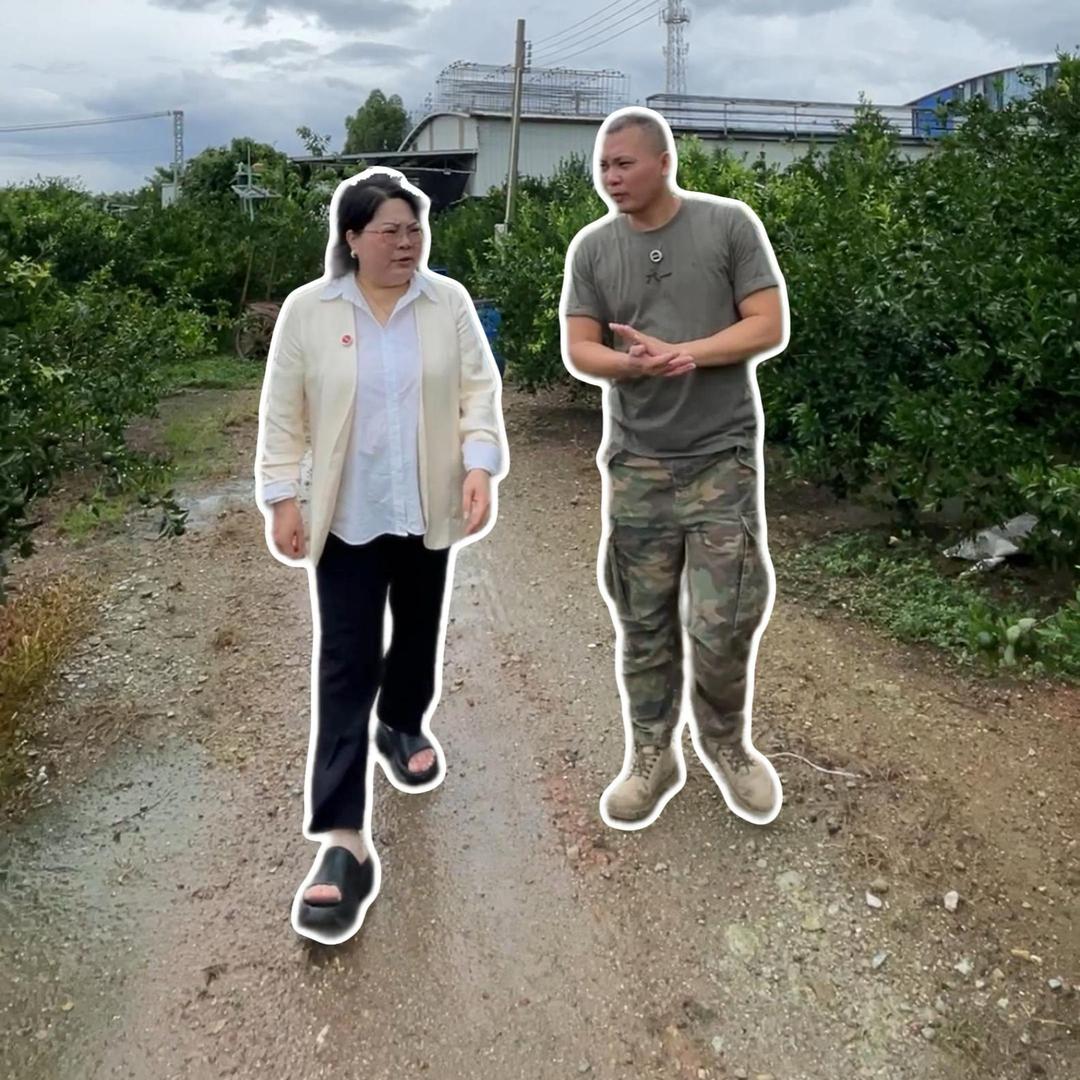老三家的茶