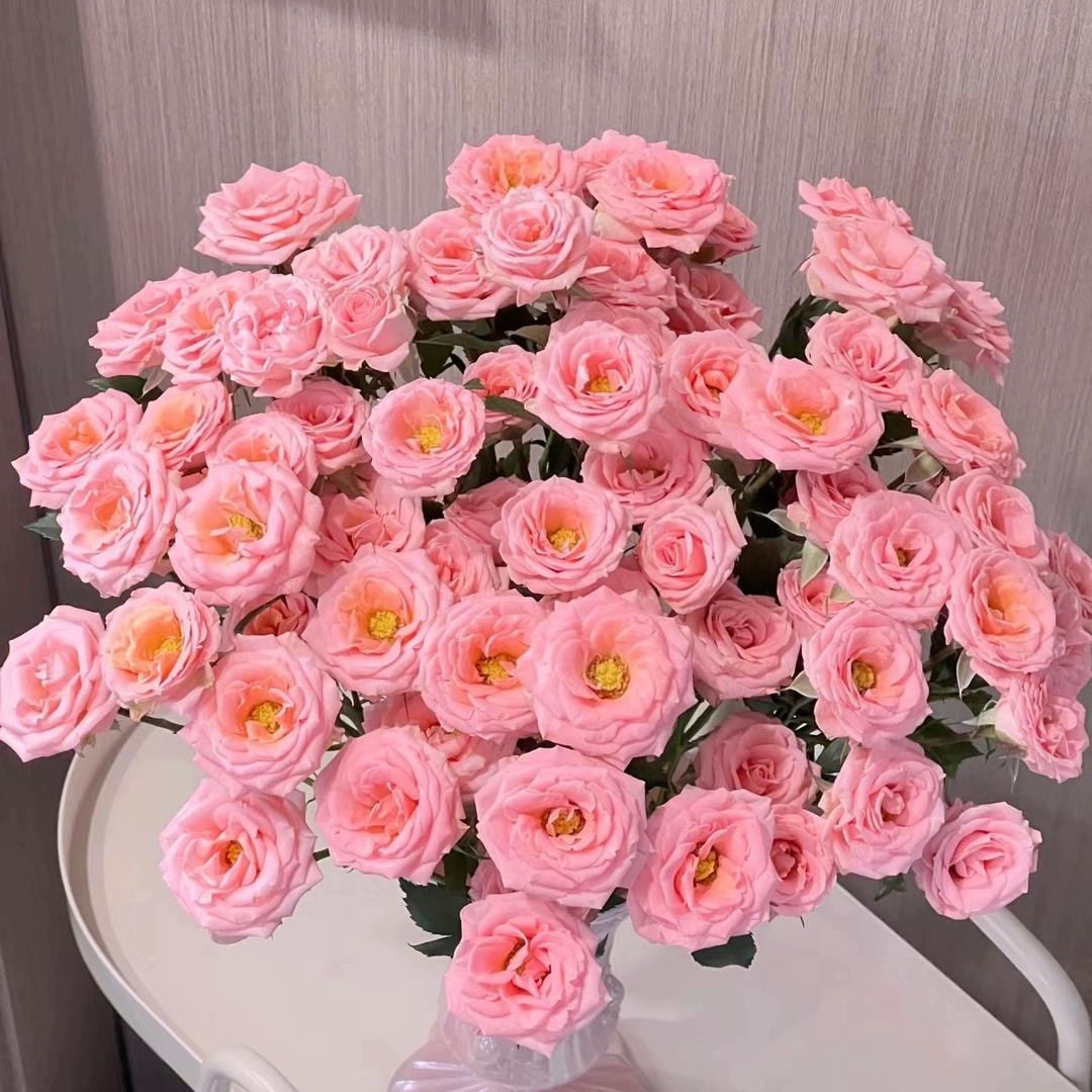 花语轩（全国批发）