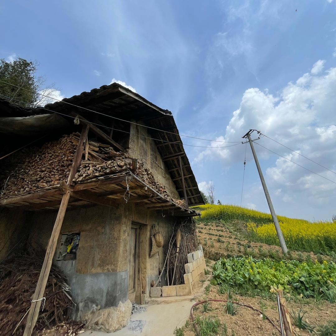 阿杰的返乡日记