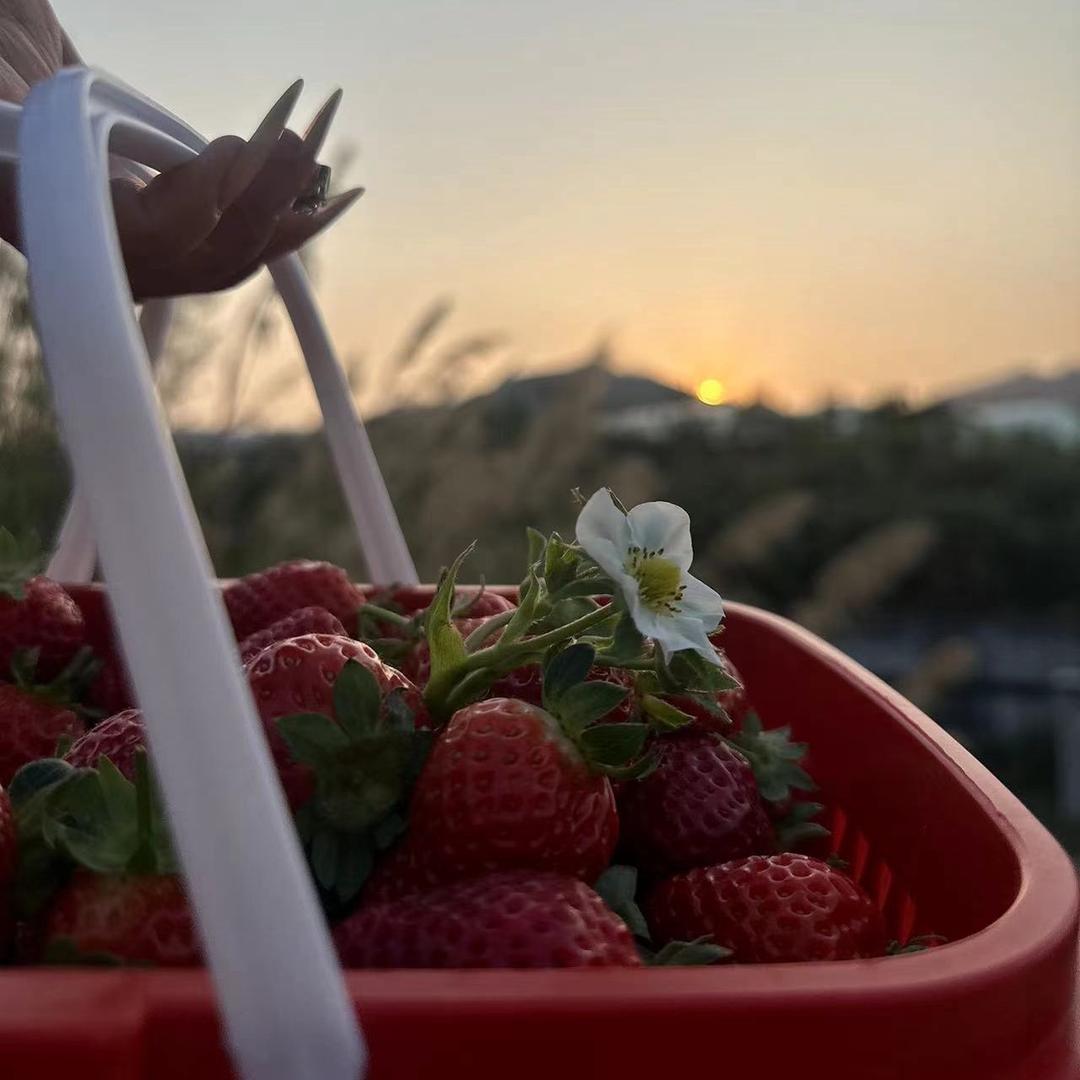 এ᭄礼貌退场ོꦿ࿐（杨）