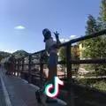容情于黑