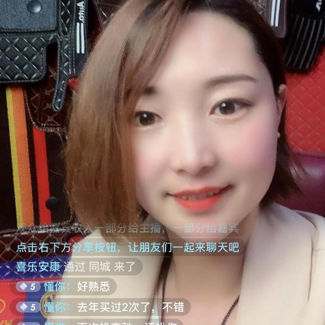 飒典车品汽车脚垫
