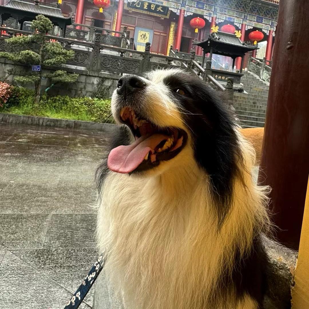 花一生园艺