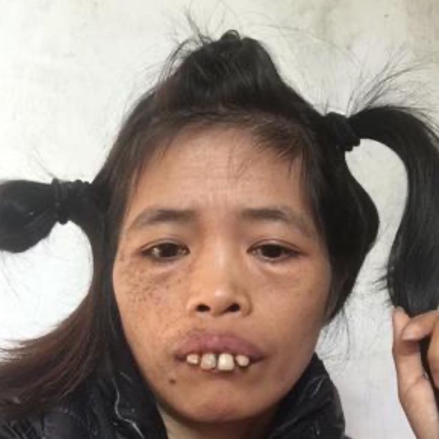 一只小七