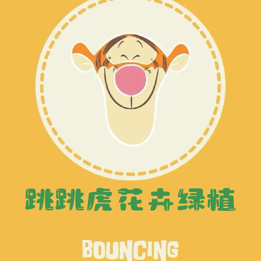 跳跳虎花卉园艺