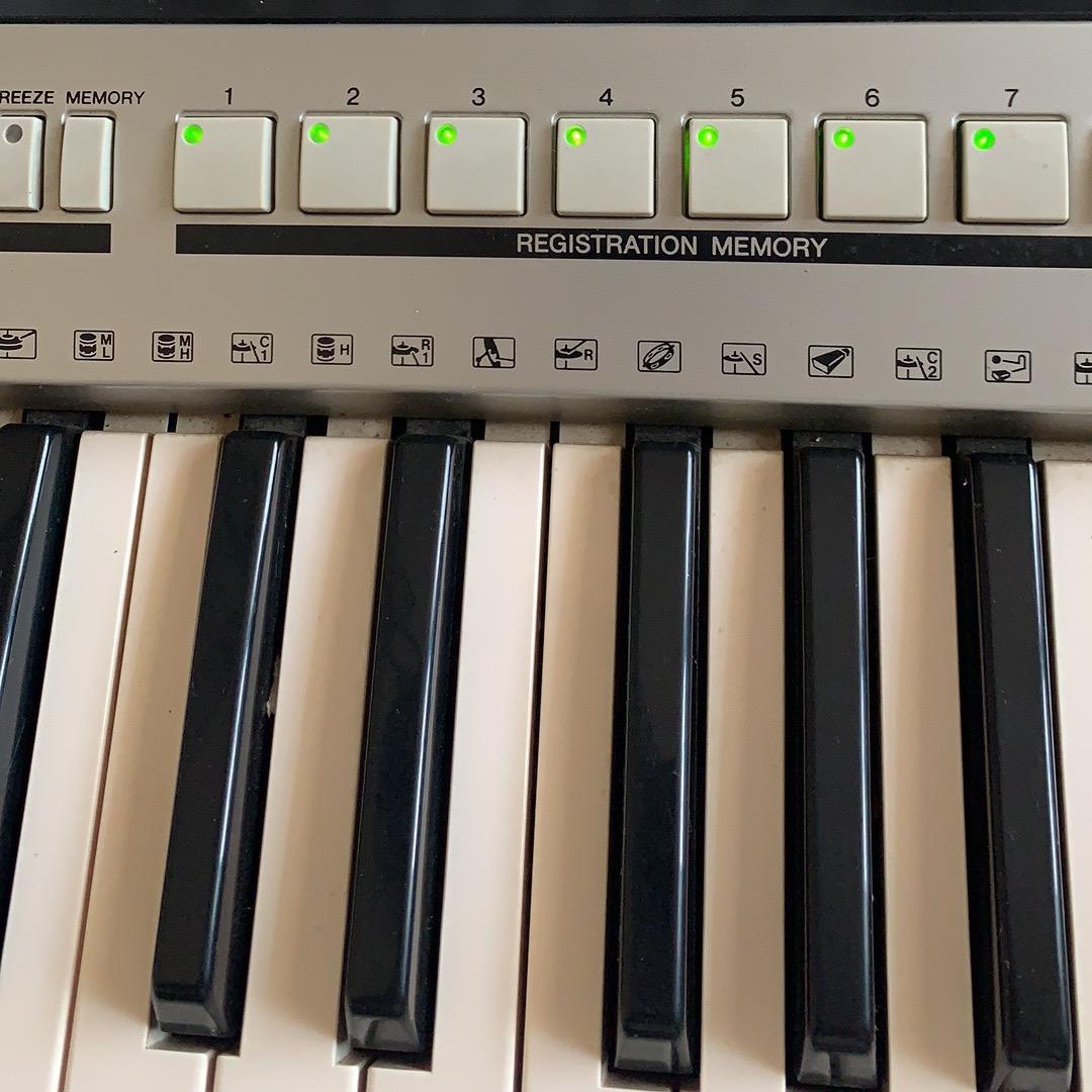 清逸如风电子琴🎹