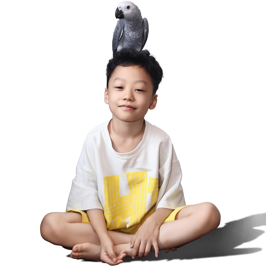 丞丞的小鹦鹉
