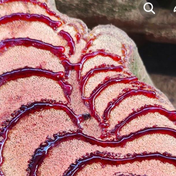 达州市达川区可强百货经营部