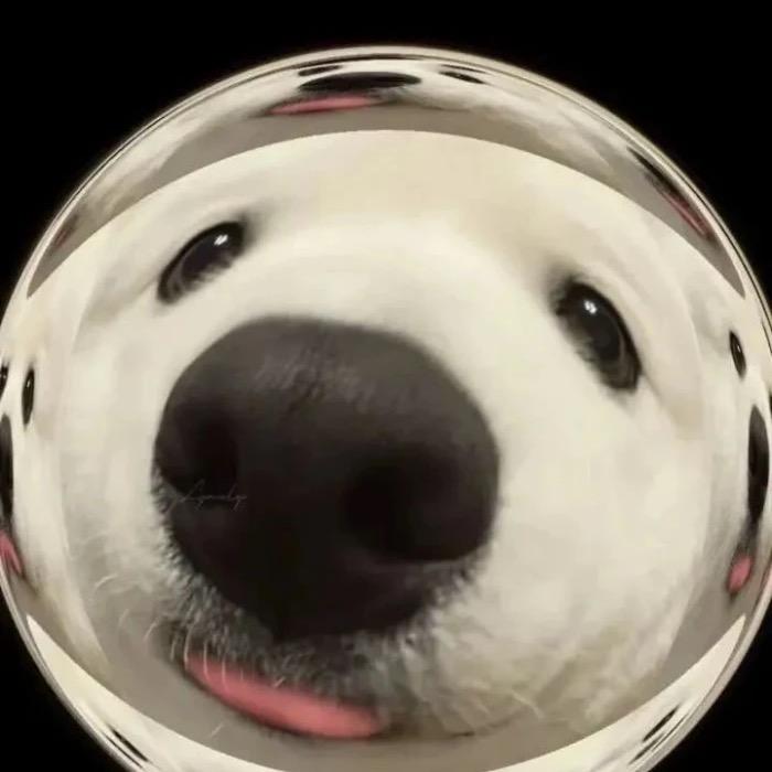桃喜噗噗