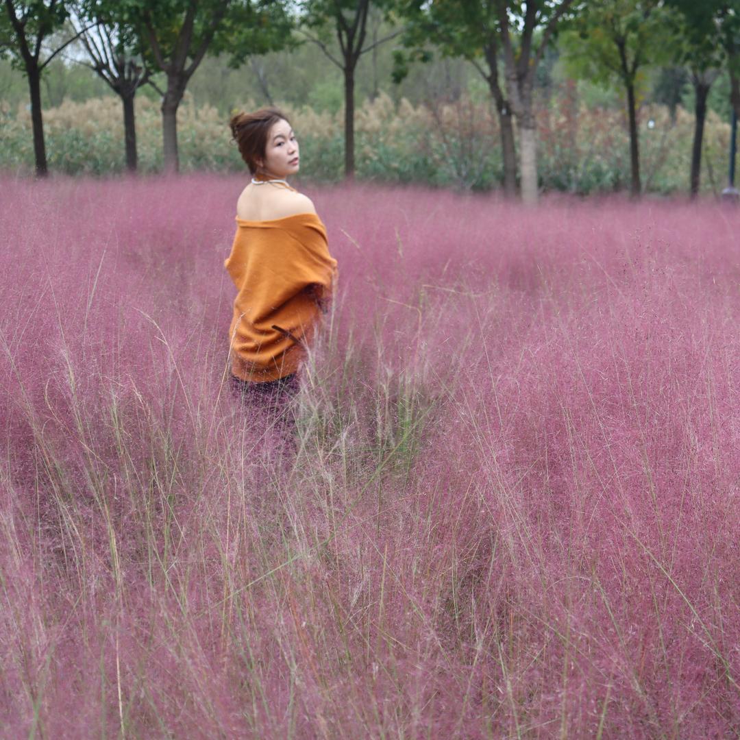 胡家小幺妹（橱窗有好物）