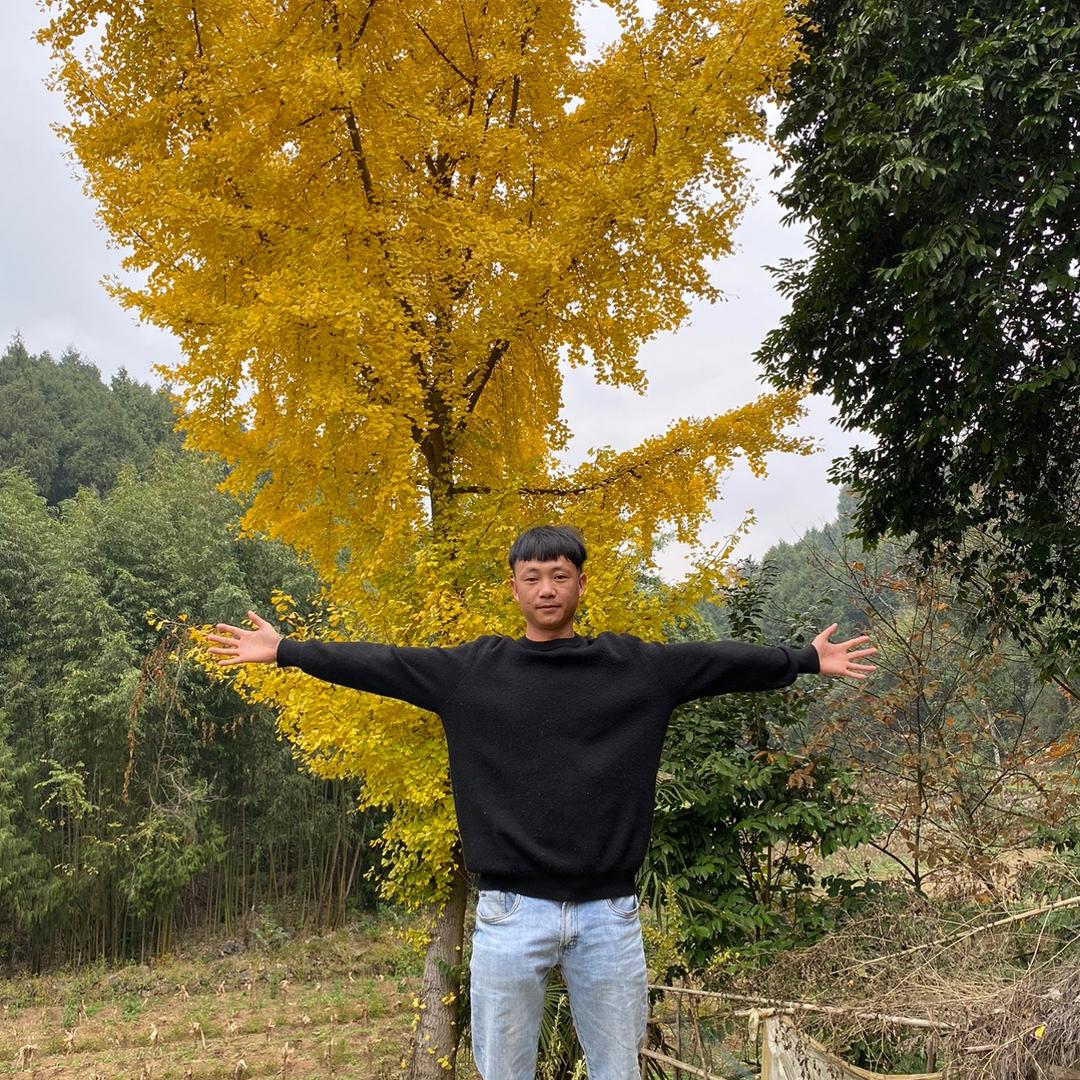 @牛头儿