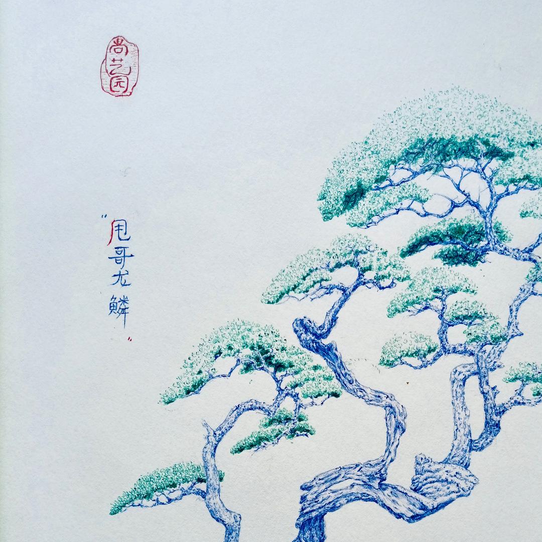 贵州龙鳞黄杨