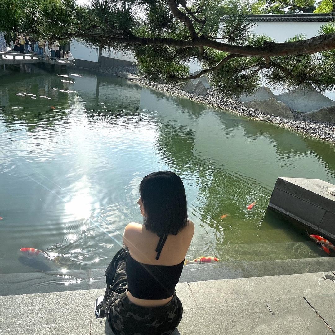 红烧小排骨