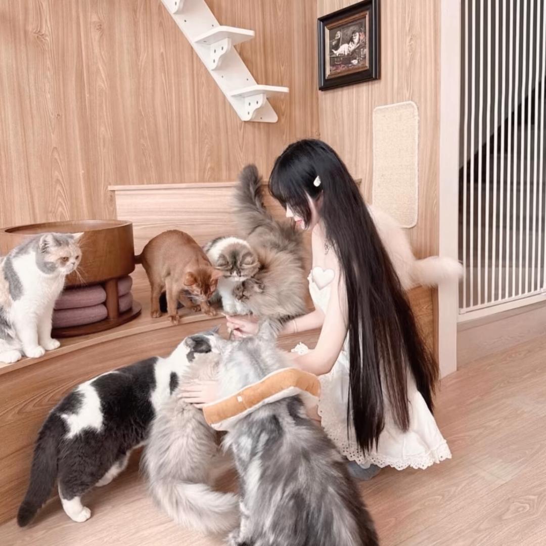 A-Li
