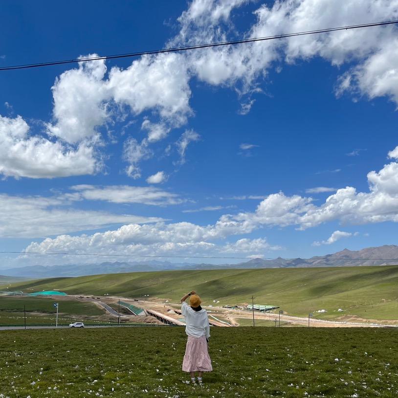 『仙仙仙仙人掌🌵』