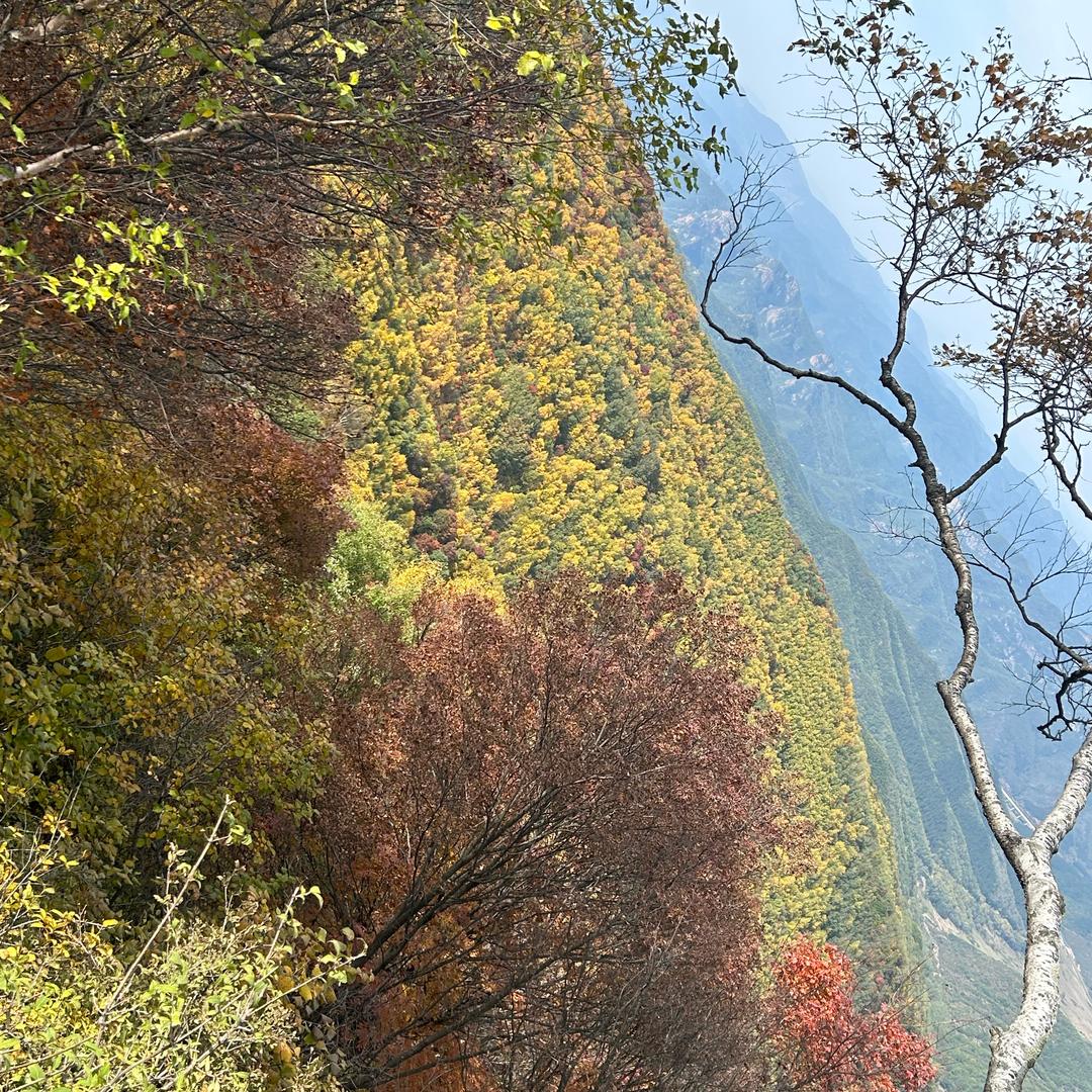 李你远点