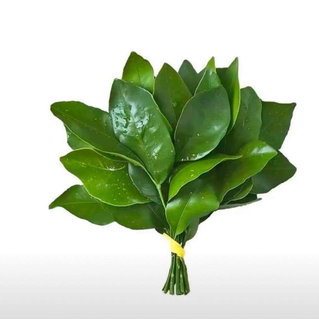 财神爷的小宝贝💕